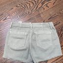 American Eagle Green Cargo Shorts Photo 3