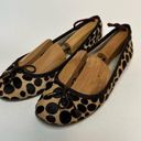 Gap  Women’s Leopard Print Ballet Flat Leather Animal Cheetah Calf Hide Shoes 7.5 Photo 0