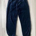 Brandy Melville  John Galt OS Velor Jogger Sweatpants Photo 0