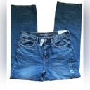 American Eagle NWT  Low Rise Baggy Jean  Comfort Stretch Size 10 Regular  Blue Photo 4