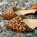 Gap Leopard flat shoes by  are in like great condition. Size 8M Photo 3