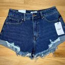 Forever 21 Denim Shorts Photo 0