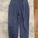 Aerie Navy Blue Sweatpants Photo 1