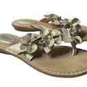 Born concept B.O.C.,  Adie, Cream Leather Flip Flop women's 7 Photo 0