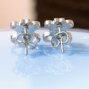 Silver Stainless Steel Cute Teddy Bear w/ Heart Paws Stud Earrings Photo 1