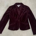 Tommy Hilfiger Vintage  Velvet Blazer Suit Jacket Size Medium I Burgundy I Photo 0