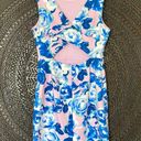 Betsey Johnson Floral Sleeveless Cut Out Back Dress Size 8 M Pink Blue Y2K Roses Photo 2