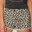 Amuse Society Shoreline Beige Leopard Print Cut Off Denim Shorts Photo 3