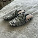 Gap  snakeprint slide on mules, blue and cream pointed toe flats Photo 1