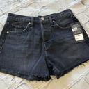 Hudson Jeans #19 NWT Hudson Lori Cutoff Denim Shorts in Tainted Love Photo 1