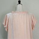 Free People  Terese Velvet Pink Tint Short Sleeves Top, Sz Medium Photo 6