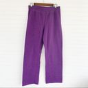 Hanes  Purple ComfortBlend Sweats size Small Petite Photo 5