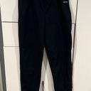 Pearl Izumi  ladies pants . Size L Photo 0