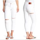 One Teaspoon  Freebirds II Low Waist Skinny Jean Photo 1