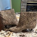 DV by Dolce Vit Dolce Vita Leopard Booties  Photo 3