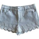 Rebecca Minkoff  Marsh Eyelet Denim Shorts Photo 0