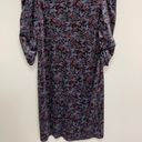The Row THE SAVILE Dress Size 6 Puff Sleeve Velvet Holiday Nature Print Winter Photo 2