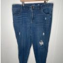 Terra & Sky  Distressed Slim Boyfriend Jeans Plus Size 20W Photo 5