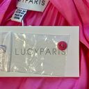 Lucy Paris Satin Hot Pink Midi Dress Photo 5