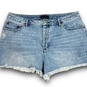 House of Harlow 1960 Denim Jean Cutoffs Shorts Button Fly High Waist Size 32 Blue Photo 0