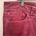 Tommy Hilfiger  Maroon Corduroy Bootcut Pants - Size 10 Photo 5