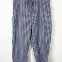 Dress Barn  Grey & White Striped Drawstring Ankle Capri Pants Size 16W Photo 0