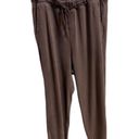 Aerie Brown Joggers medium cotton Photo 1