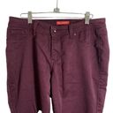 Dress Barn  Straight Leg Jeans Womens Size 10 Purple Stretch Pants Mid Rise Photo 1