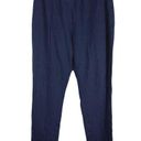 Soft Surroundings  Size S Petite Ankle Knit Pull On Pants Blue Stretch Front Seam Photo 0