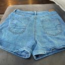 American Eagle Outfitters Jean Cut Shorts Photo 1