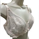 Blossom HSIA  Unlined Lace Underwire Bra Photo 6