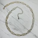 The Bar Skinny Silver and Gold Tone Metal Chain Link Belt Size Large L XL Photo 0