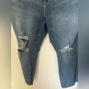 DL1961 NWT  plus size 20W Patti straight leg high rise vintage ankle jeans Photo 2