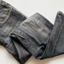 Bebe  • Medium Dark Blue Bootcut Denim Jeans Photo 1