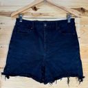 American Eagle  Women's Size 12 Curvy High Rise Shortie Black Denim Shorts AE0122 Photo 1