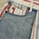 American Eagle  Mom Shorts Vintage Wash Striped Raw Hem 14 Photo 1