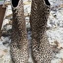 DV by Dolce Vit Dolce Vita Leopard Booties  Photo 0