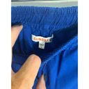 Sundry  Blue Athletic Shorts Photo 2