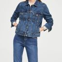 Mango Denim Jean Jacket Photo 1