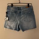 Articles of Society  Salt Aire Denim Shorts Size 28 Photo 3