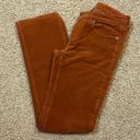 Patagonia  Women's Everyday Corduroy Pants Organic Size 28 / 6 Rust Orange/Brown Photo 5