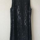 Michael Stars  Silk Sequin Dress Photo 3