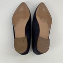 Everlane Navy Blue Flat Suede Shoes 8 Photo 11