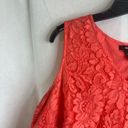 Alfani  Lace Overlay Tank with Scallop Hem Plus Size 14 Photo 3