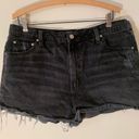 BDG Urban Outfitters  Girlfriend High Rise Shorts Photo 1