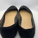 LC Lauren Conrad  Black Velvet Flat Shoe Photo 3