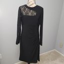 Scarlett  EUC  Long Sleeve Jersey Dress With Lace Sleeve Size 10 Photo 1