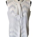 Tommy Hilfiger TOMMY HILLFIGER | SLEEVELESS | SHEER | BUTTON DOWN | TOP RUFFLE Photo 0