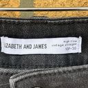 Elizabeth and James  high rise vintage jeans 10P Photo 2