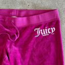 Juicy Couture  Velour Track Pants Photo 1